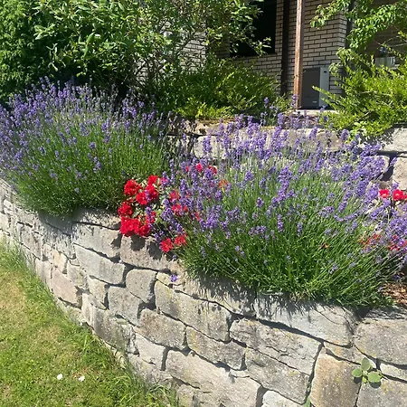 Ueber Dem Dorfe 펜션