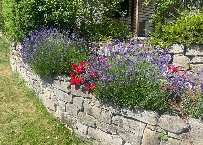 Ueber Dem Dorfe Nyaraló